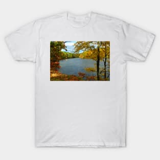 Murphysboro Lake (7) T-Shirt